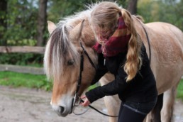 Osteopathie rund ums Pferd_Bildergalerie