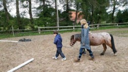 Osteopathie rund ums Pferd_Erlebnistag auf dem Ponyhof