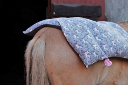 Osteopathie-rund-ums-Pferd-Rückenprobleme mit Körnerkissen behandeln